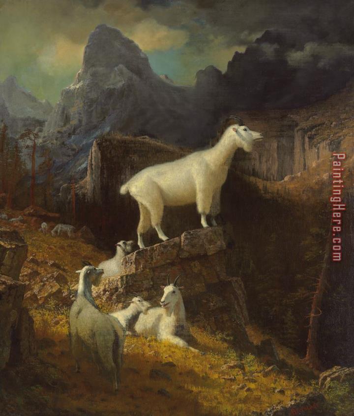 Albert Bierstadt Rocky Mountain Goats